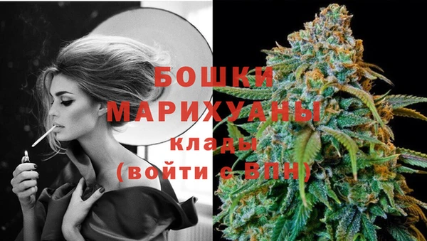 спайс Бородино