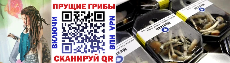 Купить закладки  Кяхта  Галлюциногенные грибы ЛСД 